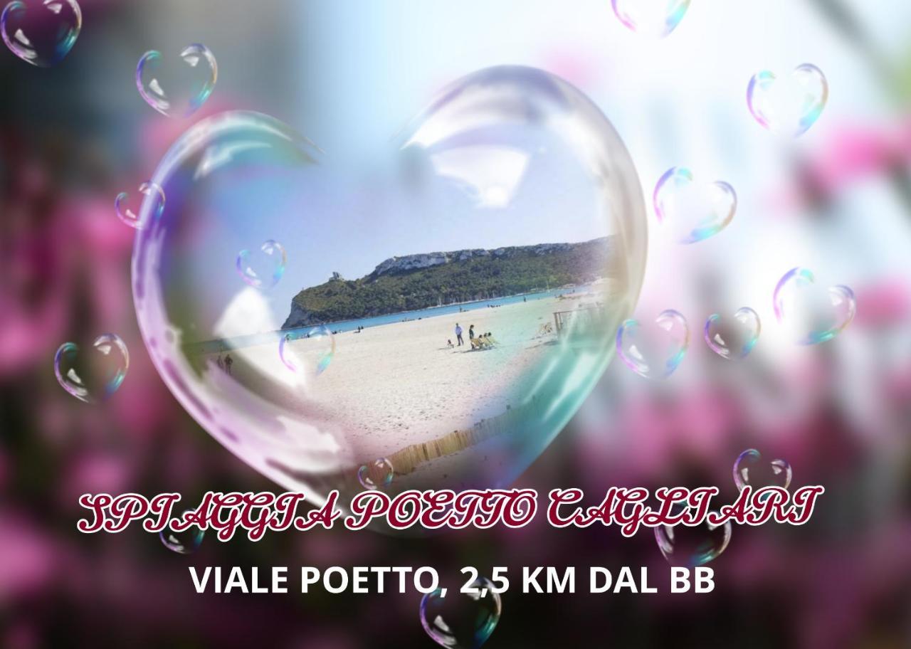 B&B Le Pavoncelle Cagliari Zewnętrze zdjęcie